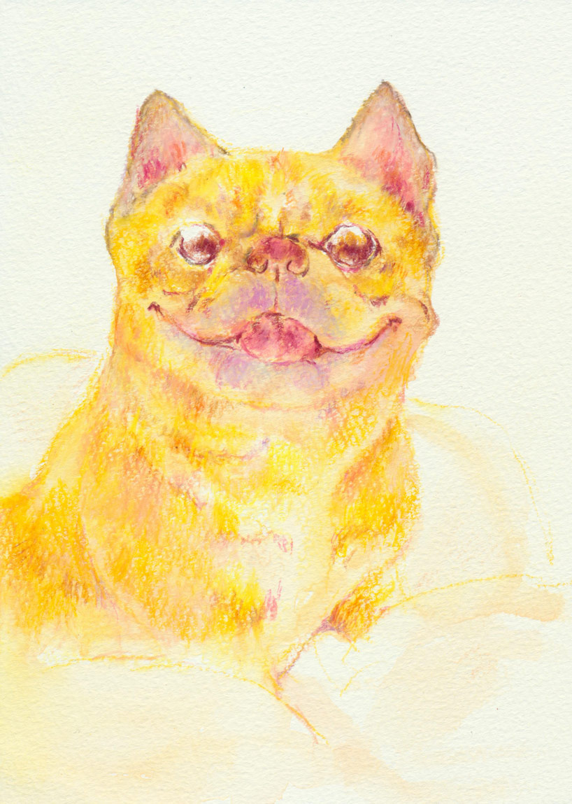 ふくべえちゃん